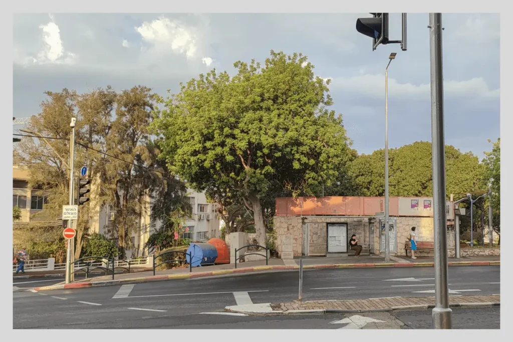 Вид на&nbsp;улицу в&nbsp;Хайфе утром 10&nbsp;октября 2023&nbsp;года. Фото: из&nbsp;личного архива.